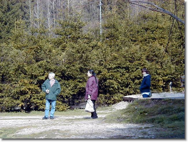 Clicca per scorrere le foto originali ingrandite