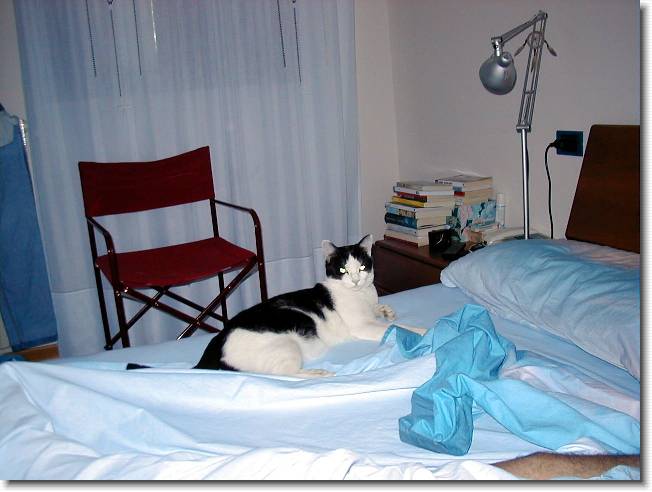 Clicca per scorrere le foto originali ingrandite