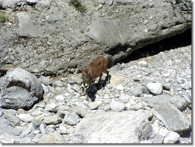 Clicca per scorrere le foto originali ingrandite