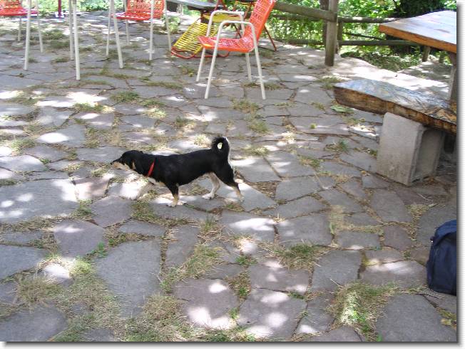Clicca per scorrere le foto originali ingrandite