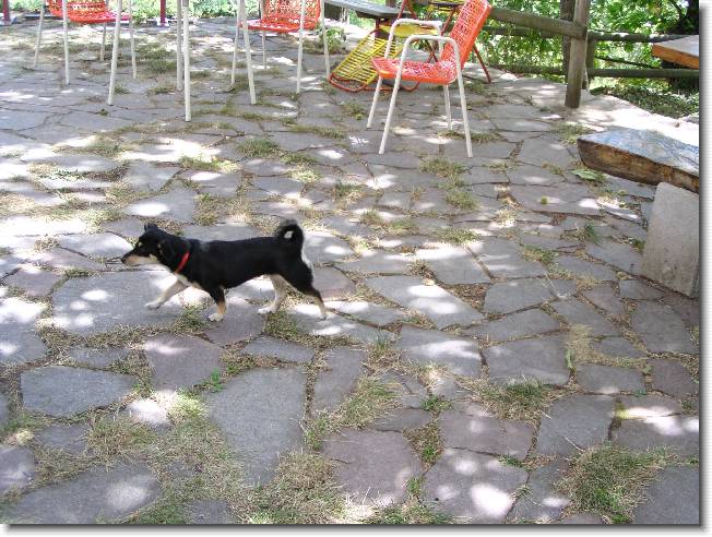 Clicca per scorrere le foto originali ingrandite