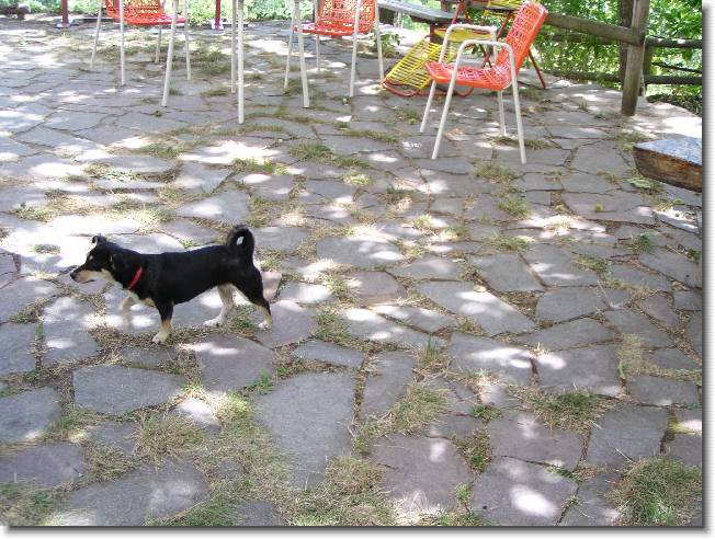 Clicca per scorrere le foto originali ingrandite