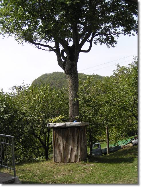 Clicca per scorrere le foto originali ingrandite