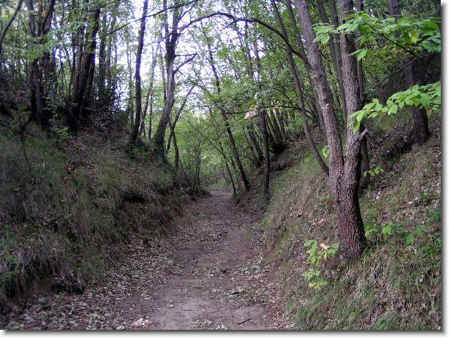 Clicca per scorrere le foto originali ingrandite