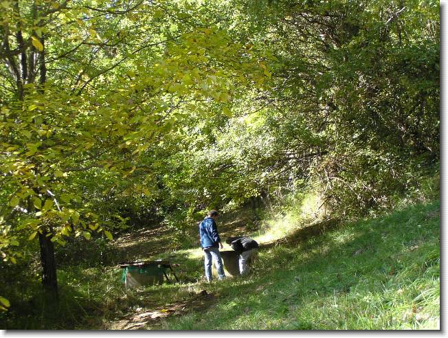 Clicca per scorrere le foto originali ingrandite