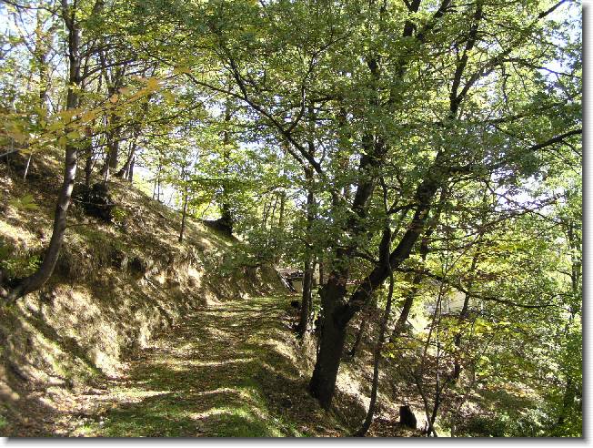 Clicca per scorrere le foto originali ingrandite