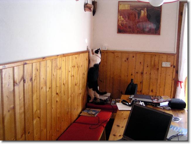 Clicca per scorrere le foto originali ingrandite