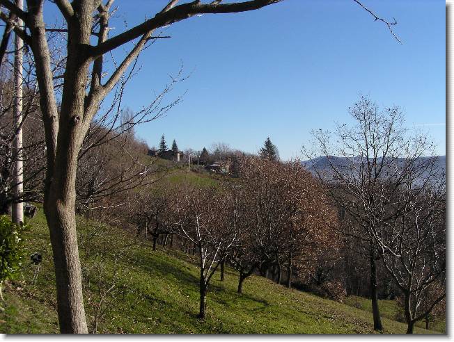 Clicca per scorrere le foto originali ingrandite