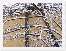 P2280064 * 2048 x 1536 * (702KB)