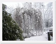P2280074 * 2048 x 1536 * (726KB)