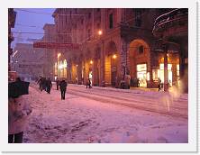 P2280092 * 2048 x 1536 * (717KB)