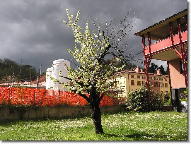Clicca per scorrere le foto originali ingrandite