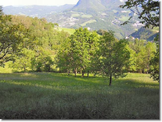 Clicca per scorrere le foto originali ingrandite