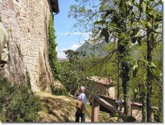 Clicca per scorrere le foto originali ingrandite