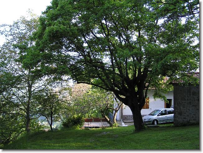 Clicca per scorrere le foto originali ingrandite