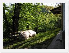 P5150971 * 2048 x 1536 * (731KB)