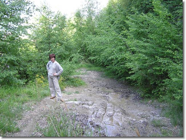Clicca per scorrere le foto originali ingrandite