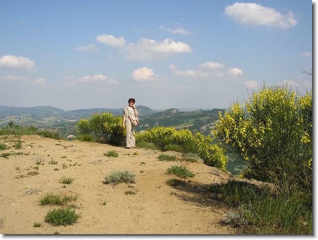 Clicca per scorrere le foto originali ingrandite