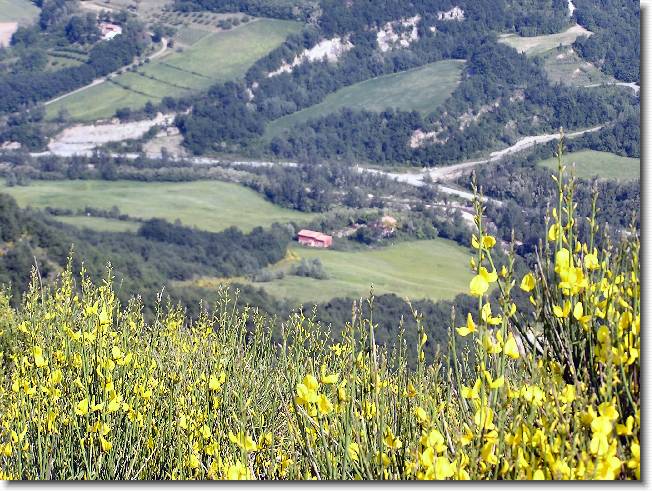 Clicca per scorrere le foto originali ingrandite