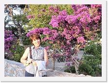 P1010197 * 2048 x 1536 * (1.24MB)