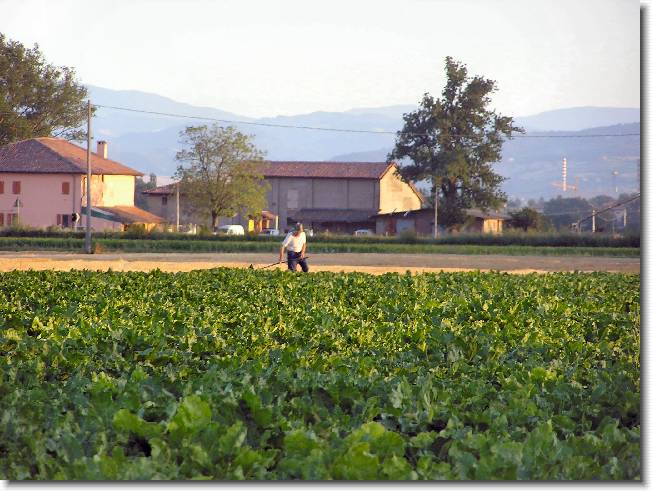 Clicca per scorrere le foto originali ingrandite