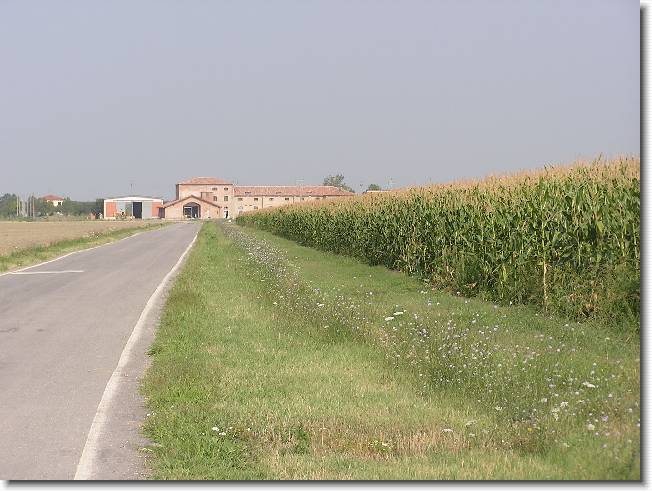 Clicca per scorrere le foto originali ingrandite