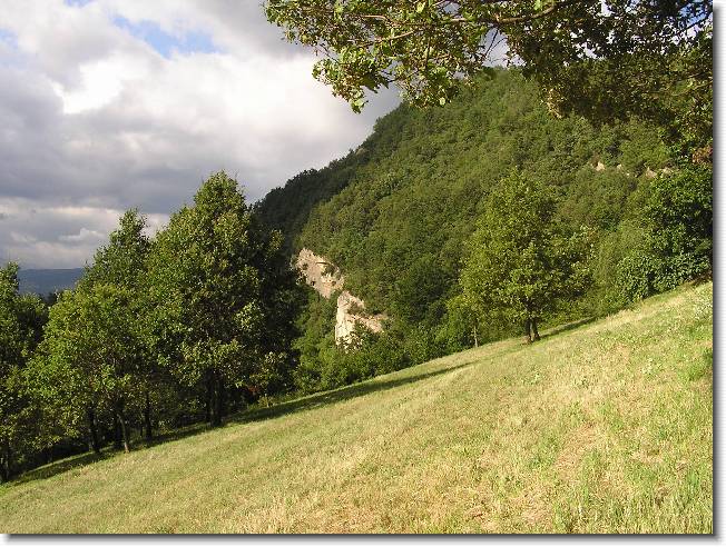 Clicca per scorrere le foto originali ingrandite