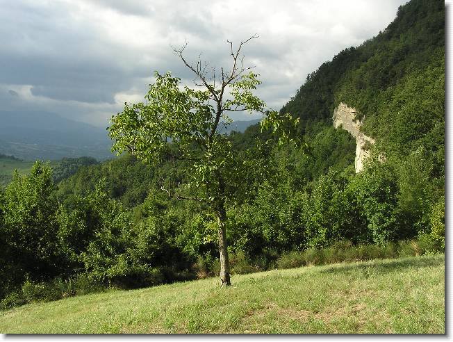 Clicca per scorrere le foto originali ingrandite