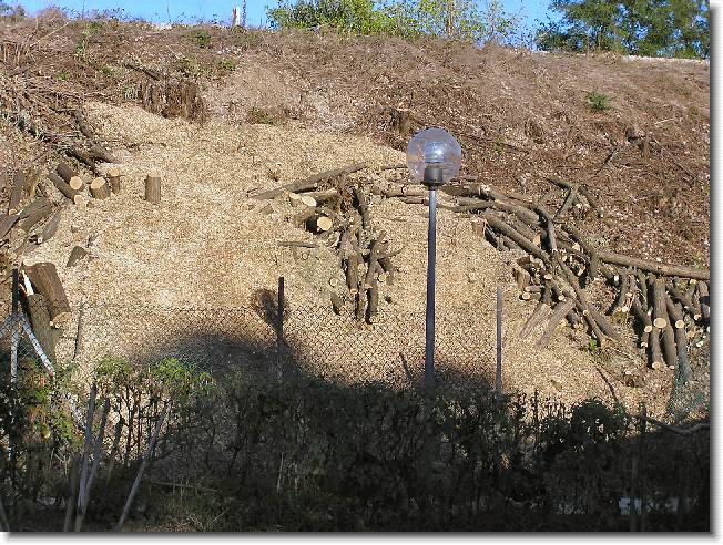 Clicca per scorrere le foto originali ingrandite