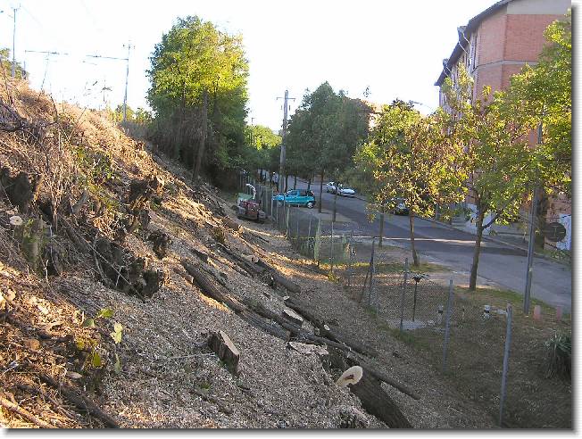 Clicca per scorrere le foto originali ingrandite