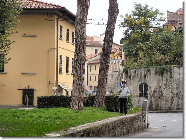 Clicca per scorrere le foto originali ingrandite