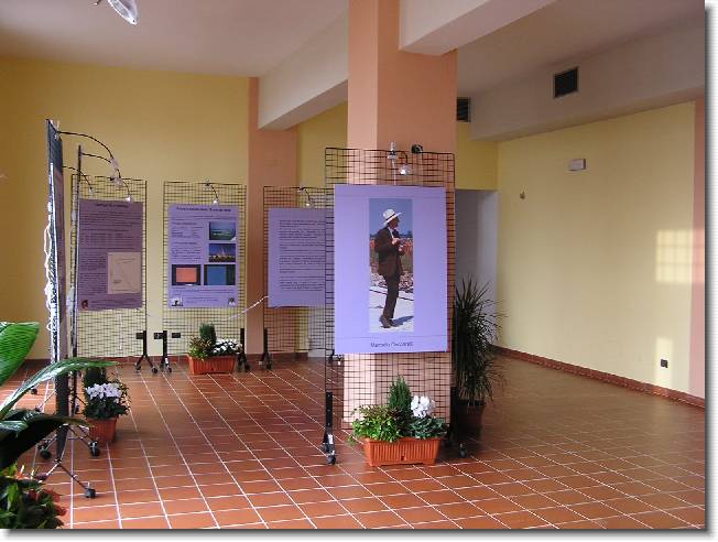 Clicca per scorrere le foto originali ingrandite