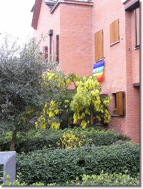 Clicca per scorrere le foto originali ingrandite