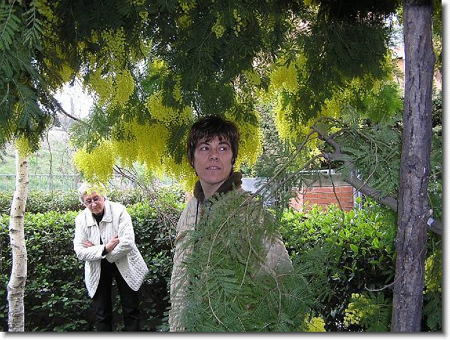 Clicca per scorrere le foto originali ingrandite
