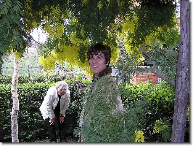 Clicca per scorrere le foto originali ingrandite
