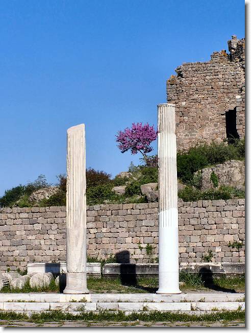 Clicca per scorrere le foto originali ingrandite