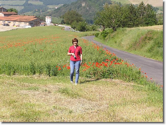 Clicca per scorrere le foto originali ingrandite