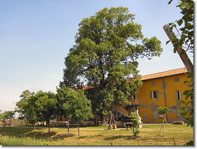 Clicca per scorrere le foto originali ingrandite