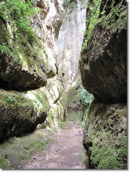 Clicca per scorrere le foto originali ingrandite