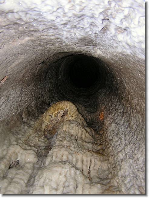 Clicca per scorrere le foto originali ingrandite
