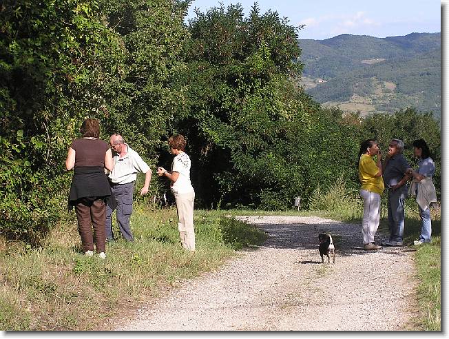 Clicca per scorrere le foto originali ingrandite