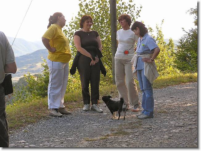 Clicca per scorrere le foto originali ingrandite