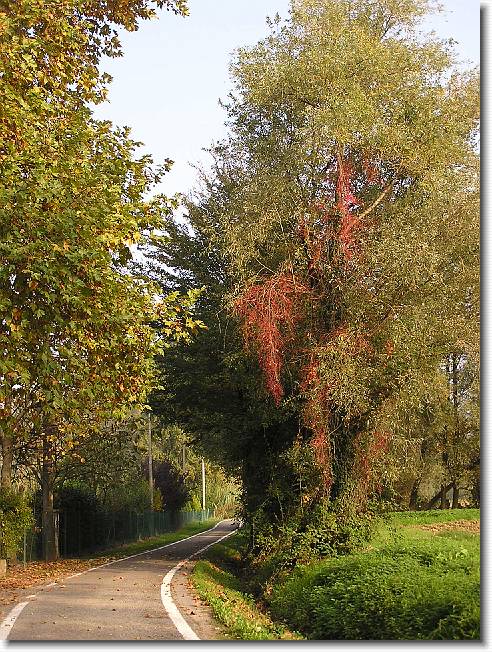 Clicca per scorrere le foto originali ingrandite