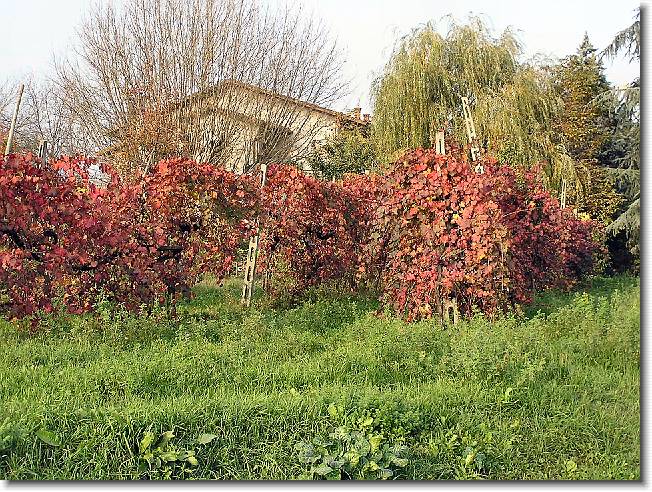 Clicca per scorrere le foto originali ingrandite
