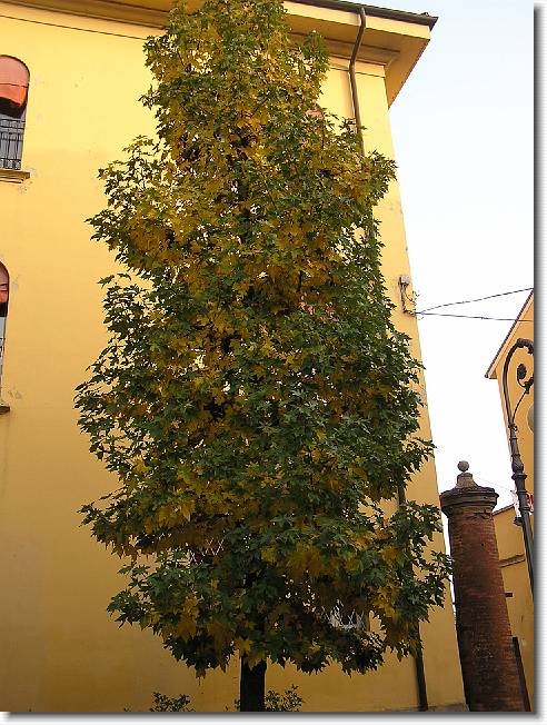 Clicca per scorrere le foto originali ingrandite