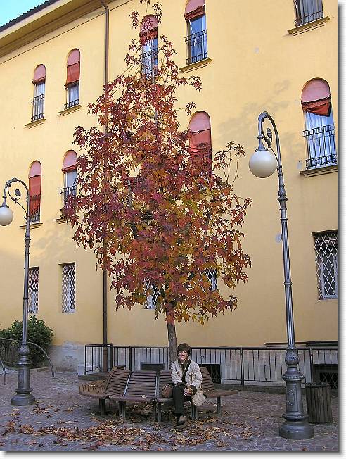 Clicca per scorrere le foto originali ingrandite