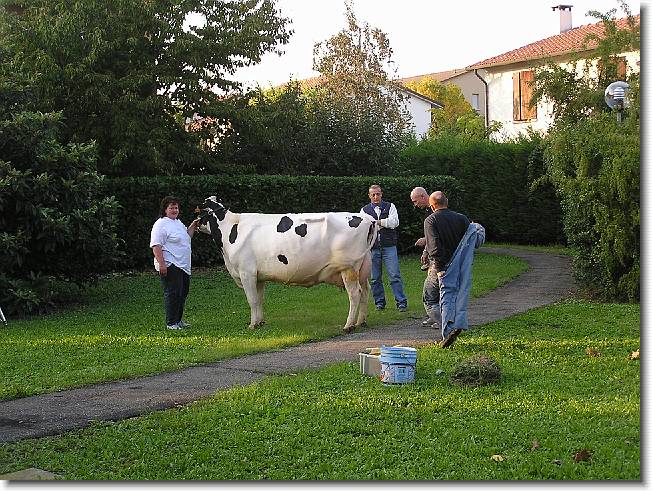 Clicca per scorrere le foto originali ingrandite