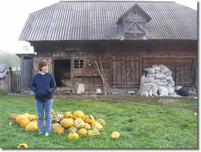 Clicca per scorrere le foto originali ingrandite