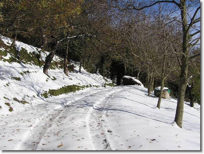 Clicca per scorrere le foto originali ingrandite