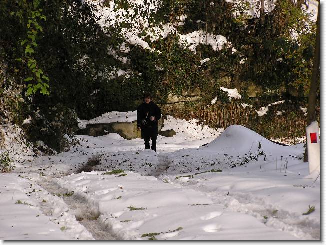 Clicca per scorrere le foto originali ingrandite